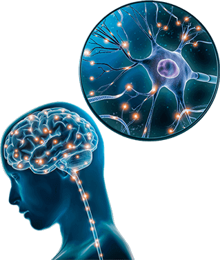 The Brain Song program interface - 17 minute daily audio